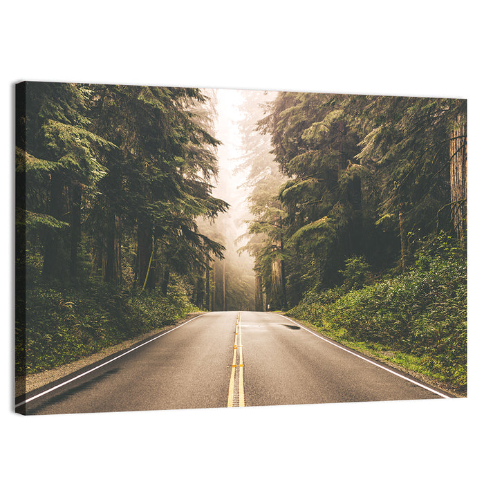 Redwood Highway, Northern California Wall Art as a canvas print