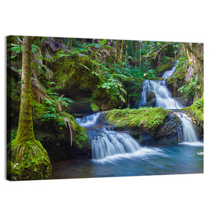 Tropical Rainforest In Hawaii Wall Art