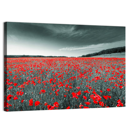 Red Poppy Field Wall Art
