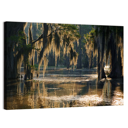 Spanish Moss In Louisiana Bayou Wall Art