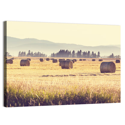 Golden Hay Bales Field Wall Art