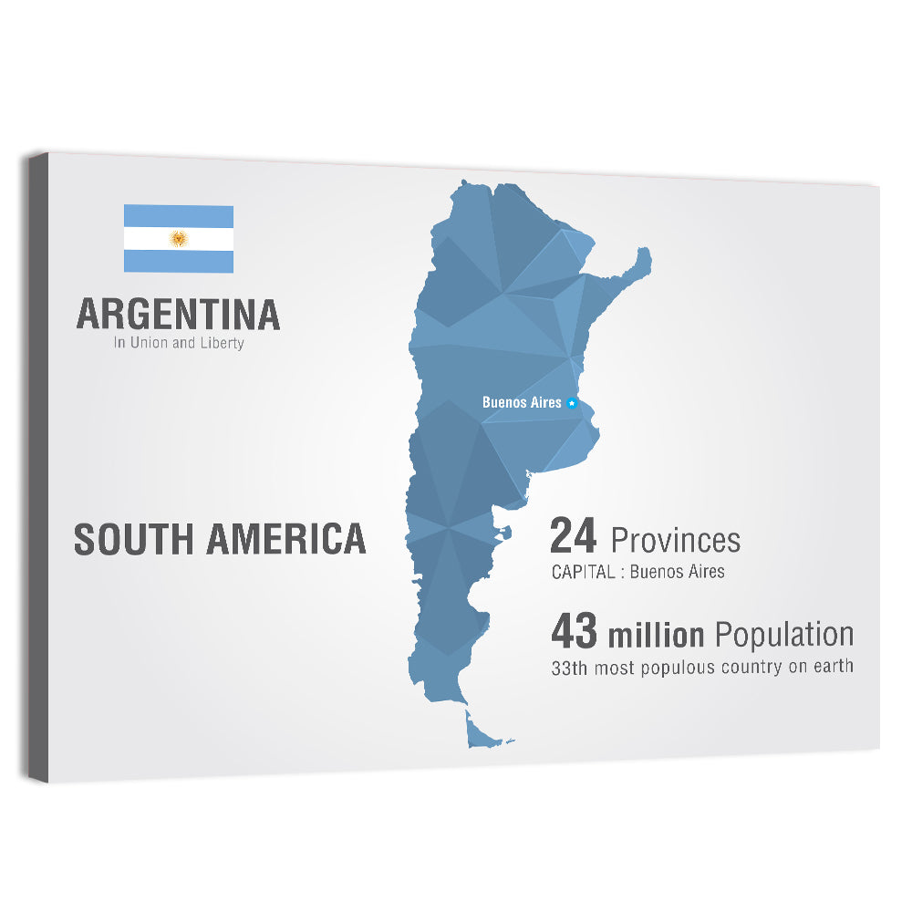 Argentina Infographic Map Wall Art, canvas print, landscape