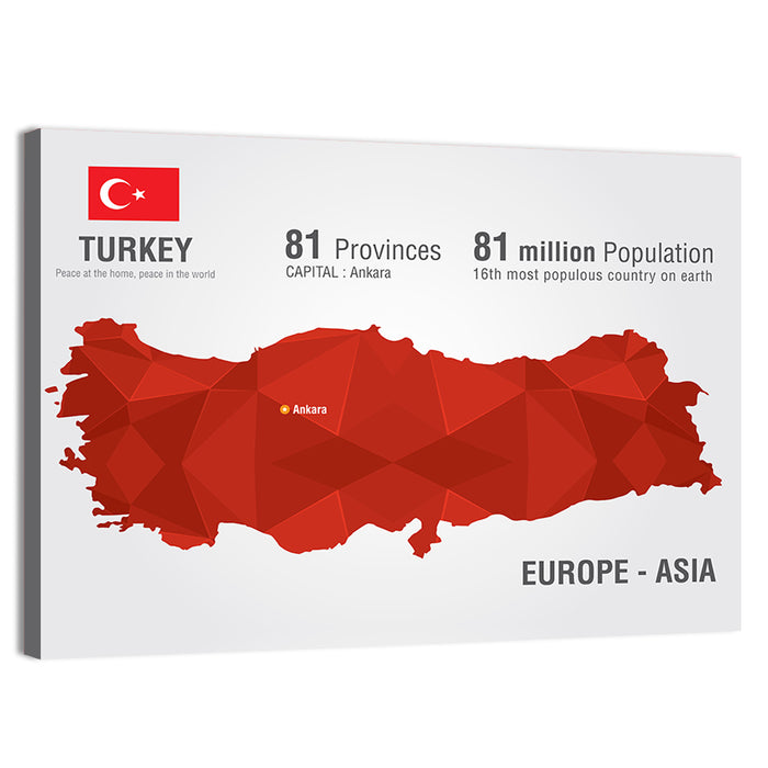 Turkey Map Infographic Wall Art as a canvas print