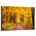 Autumn Forest Path Wall Art