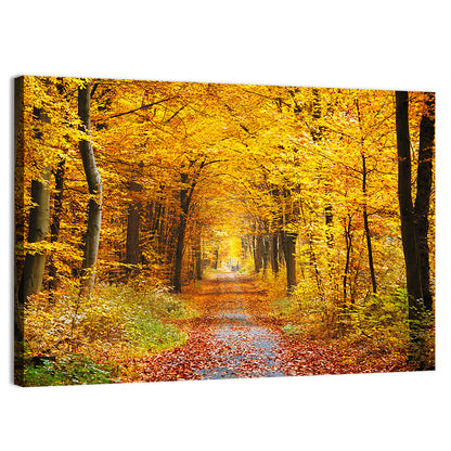 Autumn Forest Path Wall Art