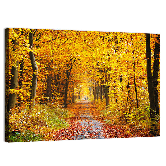 Autumn Forest Path Wall Art as a canvas print