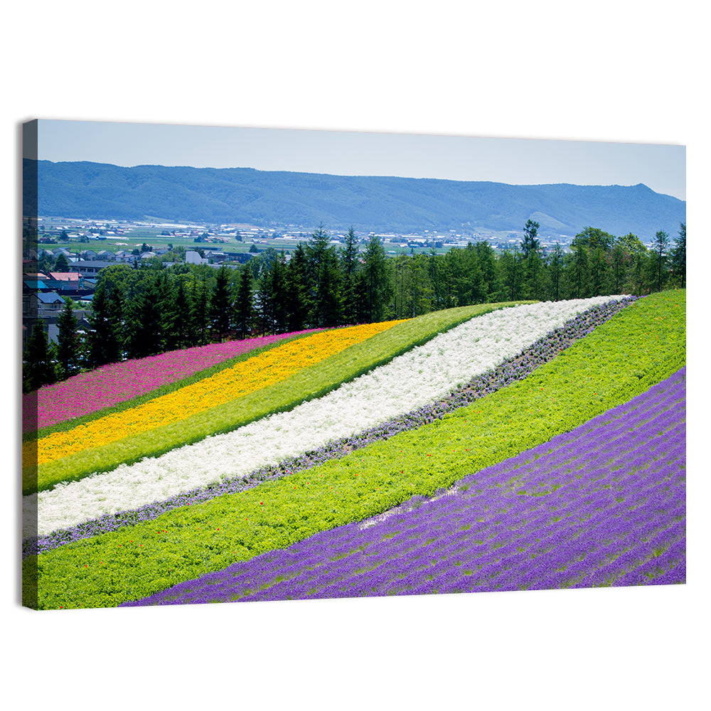 Farm Tomita Lavender Fields Wall Art
