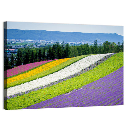 Farm Tomita Lavender Fields Wall Art