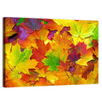 Colorful Autumn Leaves Wall Art