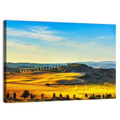 Cypress Trees Over Golden Fields Wall Art