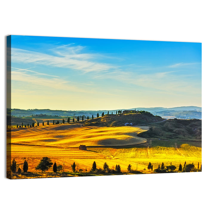 Cypress Trees Over Golden Fields Wall Art as a canvas print