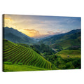 Vietnam Terraced Rice Fields Wall Art