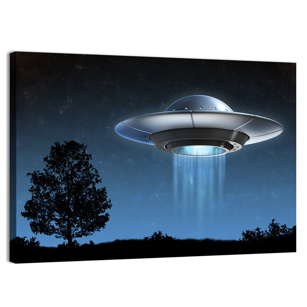 Ufo Over Silhouetted Grassland Wall Art, canvas print, landscape