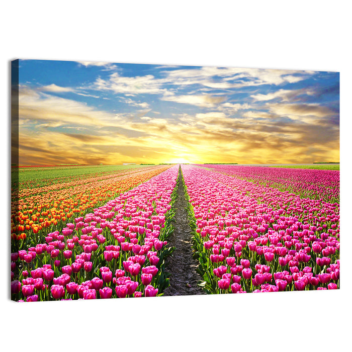 Sunrise Over Tulip Field Wall Art as a canvas print