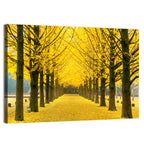 Nami Island Ginkgo Tree Tunnel Wall Art