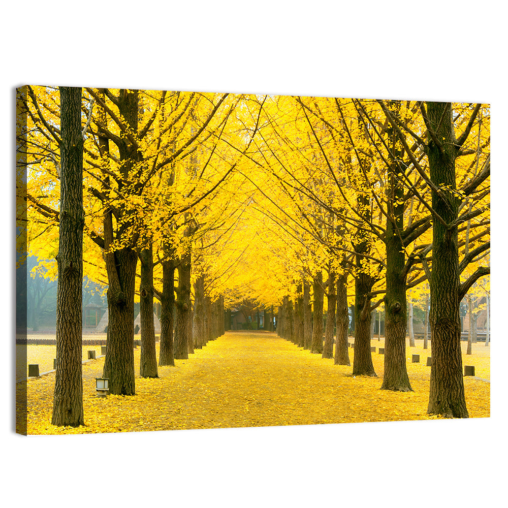 Nami Island Ginkgo Tree Tunnel Wall Art