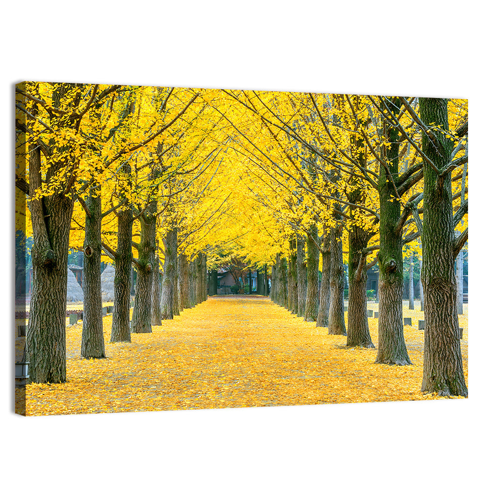 Row of Yellow Ginkgo Trees Wall Art, canvas print, landscape