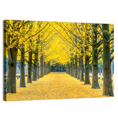 Row of Yellow Ginkgo Trees Wall Art