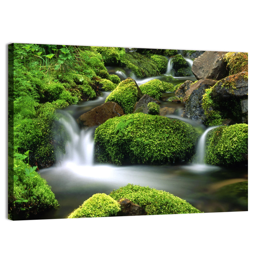 Mossy Mountain Stream Wall Art