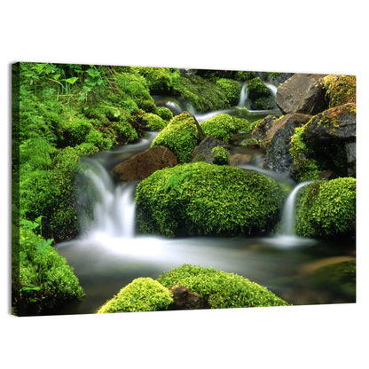 Mossy Mountain Stream Wall Art