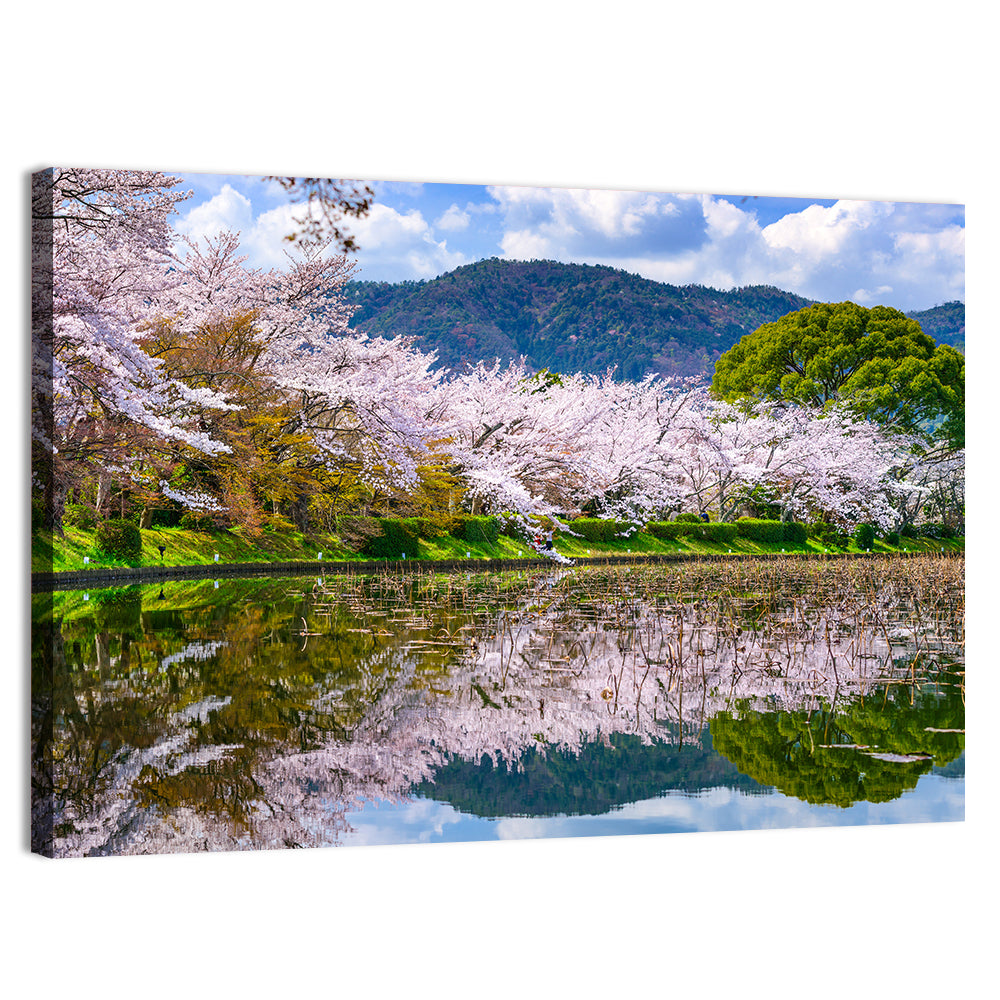 Spring at Daikaku-ji Pond Wall Art