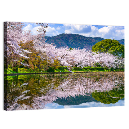 Spring at Daikaku-ji Pond Wall Art
