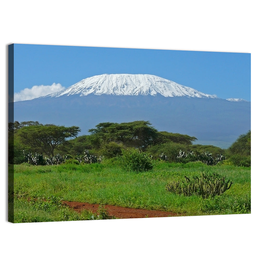 Mount Kilimanjaro Snow Capped Peak Wall Art, canvas print, landscape