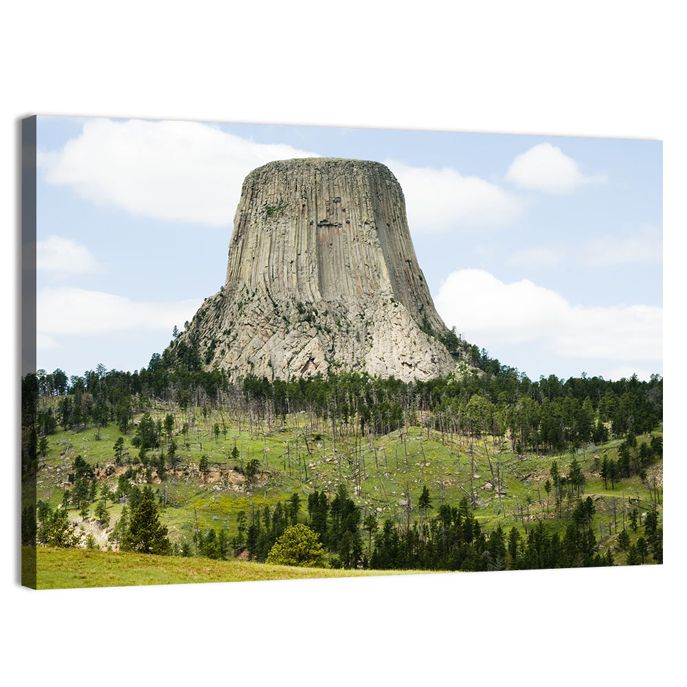 Devils Tower Columnar Monolith Wall Art, canvas print, landscape