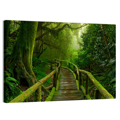 Misty Nepal Jungle Boardwalk Wall Art