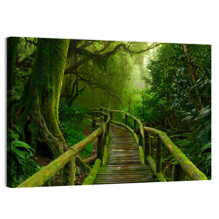Misty Nepal Jungle Boardwalk Wall Art as a canvas print