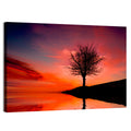 Leafless Tree Reflected on Lake Wall Art