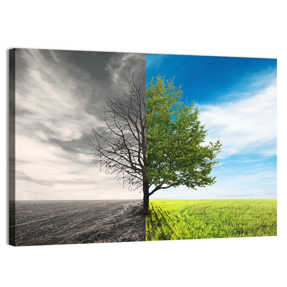 Split Tree in Field Wall Art