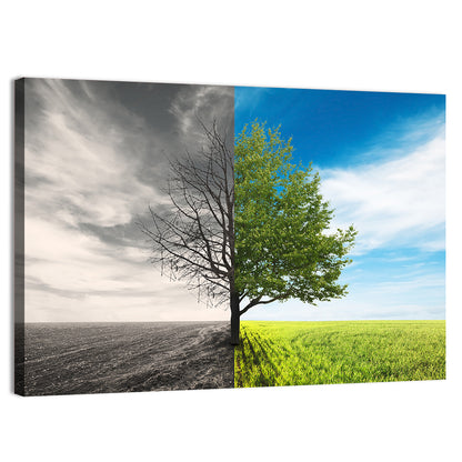 Split Tree in Field Wall Art