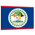 Belize National Flag Emblem Wall Art