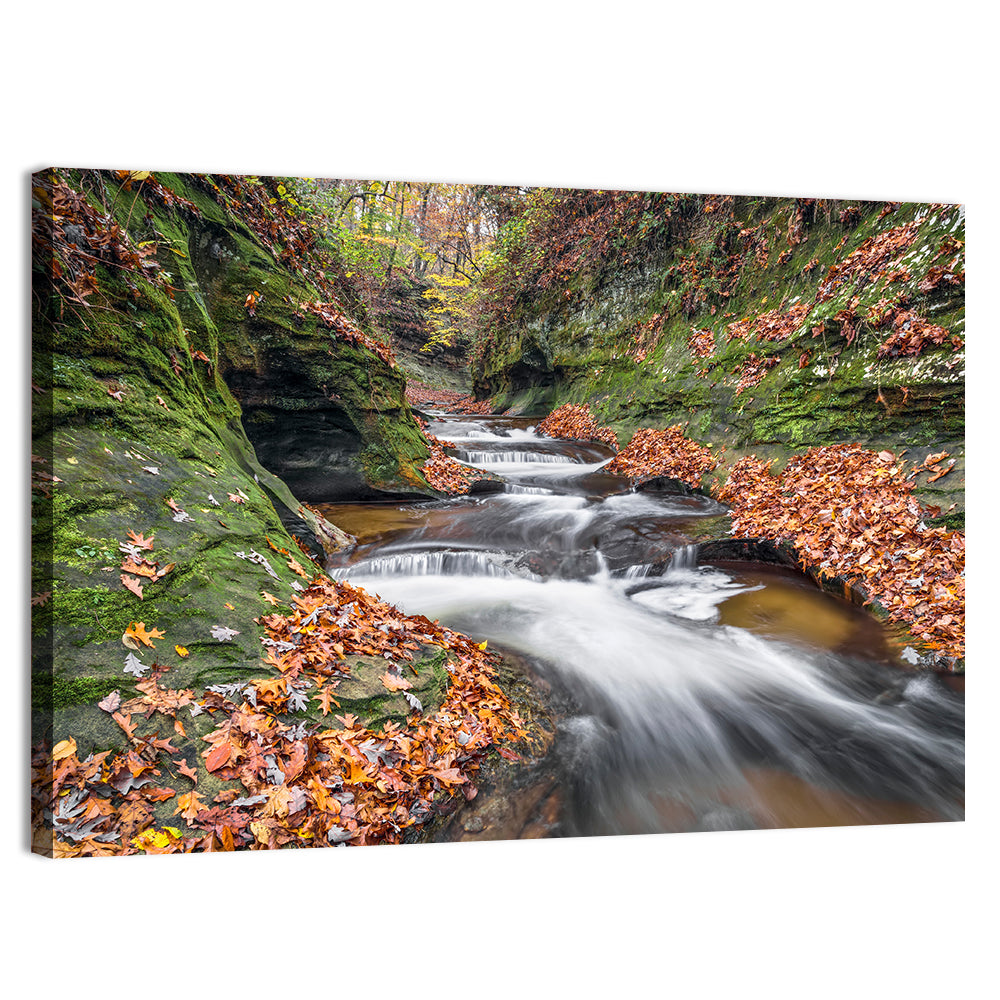 Warren County Autumn Cascades Wall Art, canvas print, landscape
