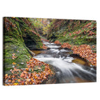 Warren County Autumn Cascades Wall Art