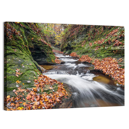 Warren County Autumn Cascades Wall Art