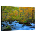 Oirase Gorge Autumn Stream Wall Art