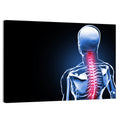 Spine Pain Anatomy Illustration Wall Art