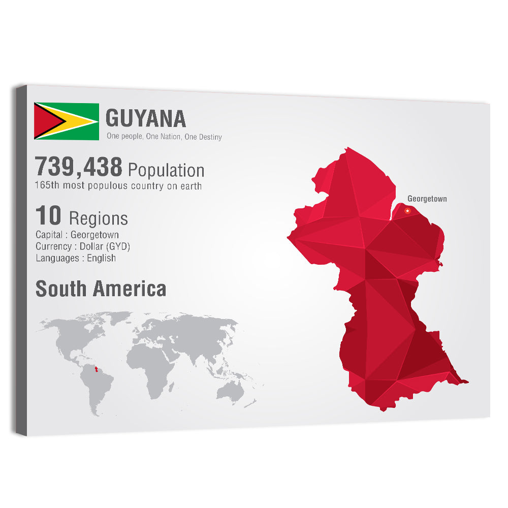 Guyana Low-poly Map Infographic Wall Art, canvas print, landscape