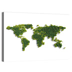 Forest Canopy World Map Wall Art