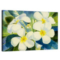 White Plumeria Watercolor Study Wall Art