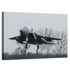 Usaf F-15 Eagle Landing Approach Wall Art