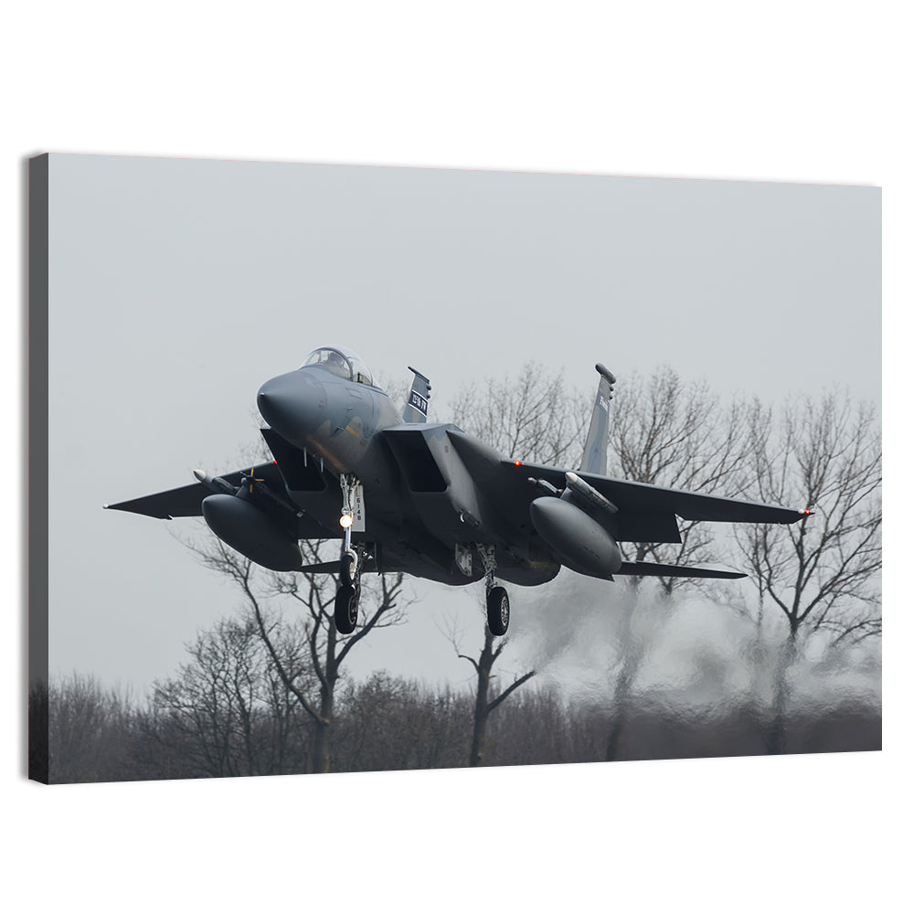 Usaf F-15 Eagle Landing Approach Wall Art
