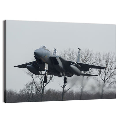 Usaf F-15 Eagle Landing Approach Wall Art