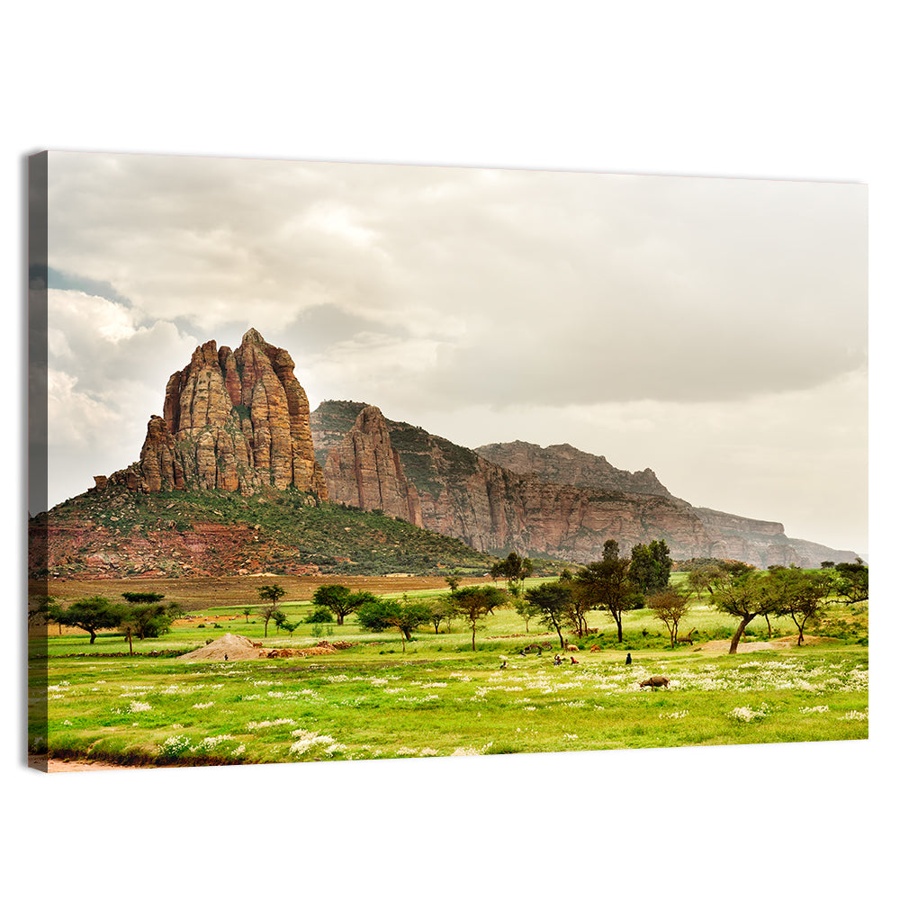 Tigray Mountain Meadow Wall Art, canvas print, landscape