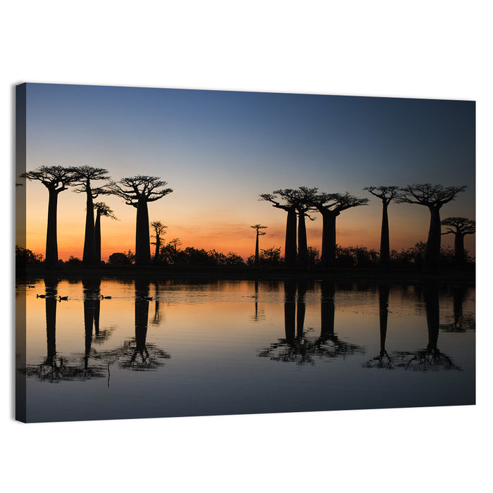 Avenue of the Baobabs at Sunrise Wall Art as a canvas print