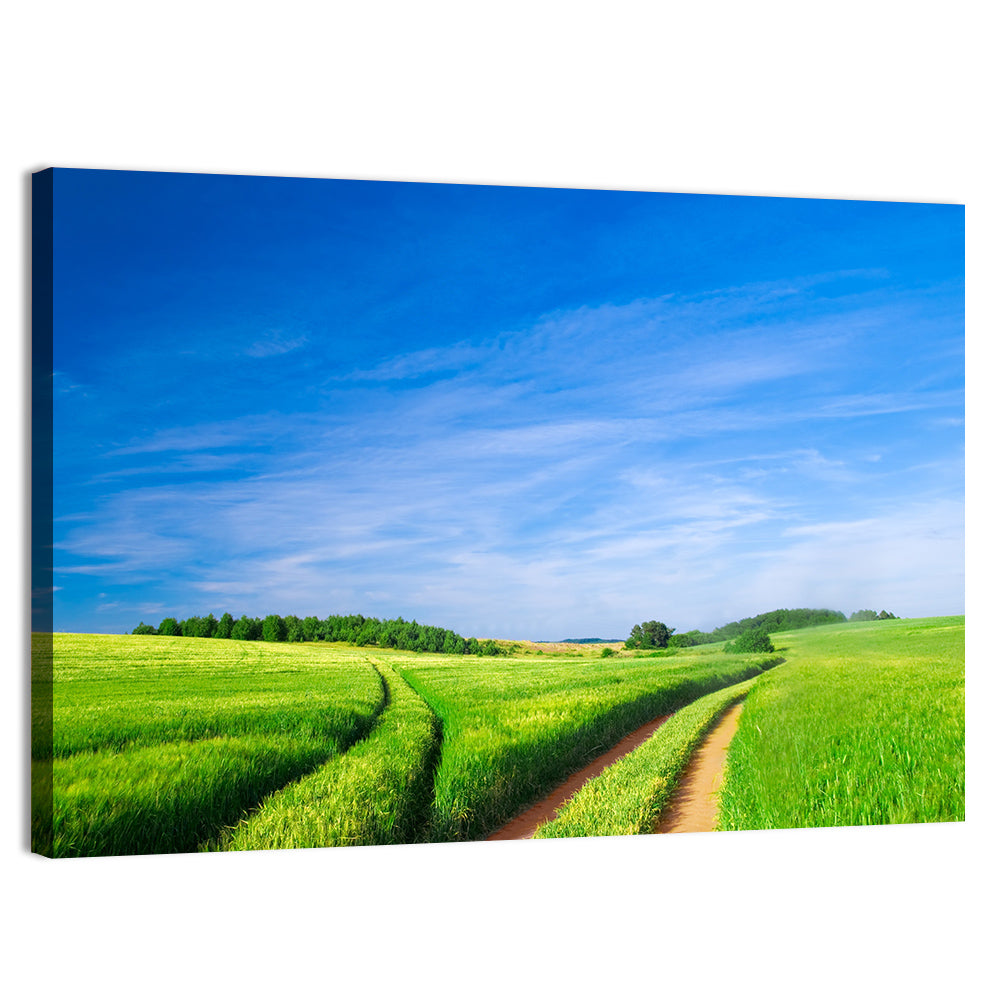 Summer Meadow with Dirt Path Wall Art, canvas print, landscape