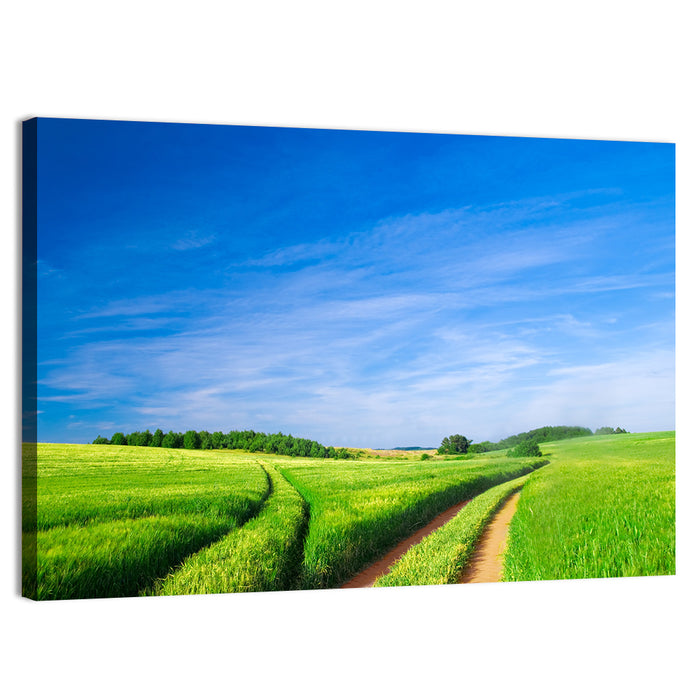 Summer Meadow with Dirt Path Wall Art as a canvas print