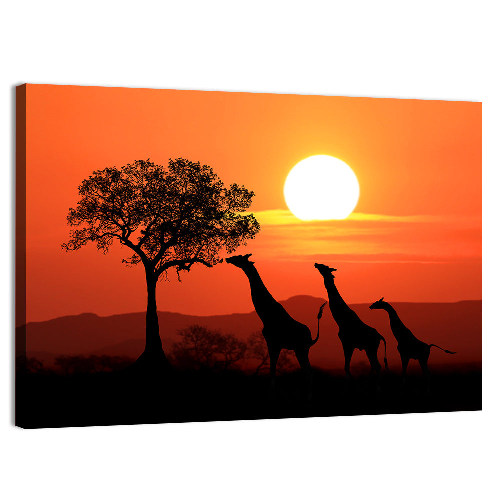 Three Giraffes at Sunset Wall Art, canvas print, landscape